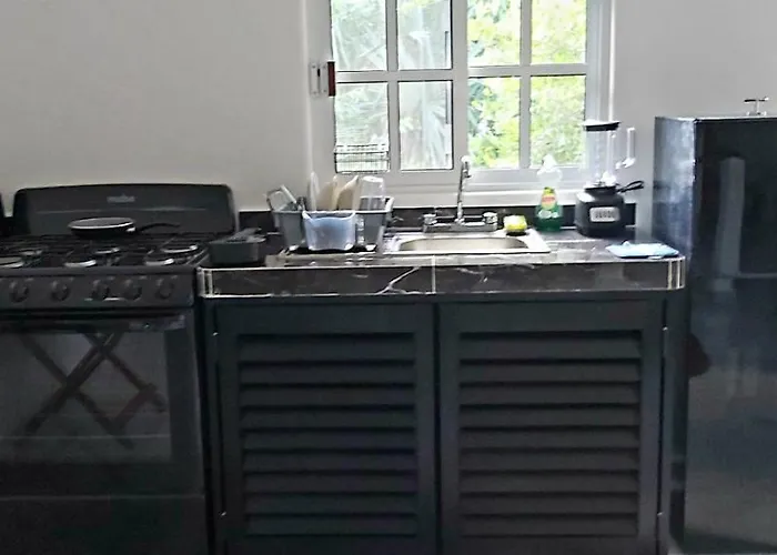 Villa New! Casa Xola Cenote&fauna Loft Cozumel