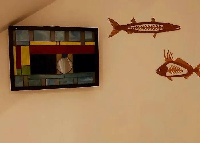New! Casa Xola Cenote&fauna Loft Cozumel