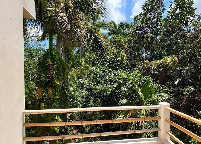 New! Casa Xola Cenote&fauna Loft * Cozumel
