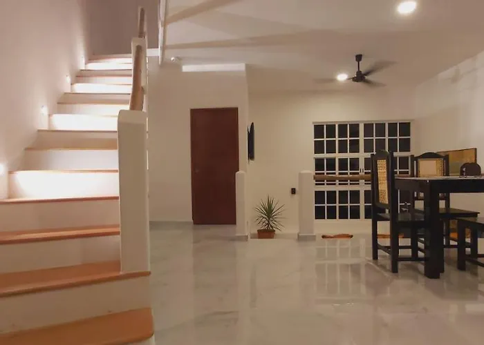 New! Casa Xola Cenote And Fauna Loft Villa
