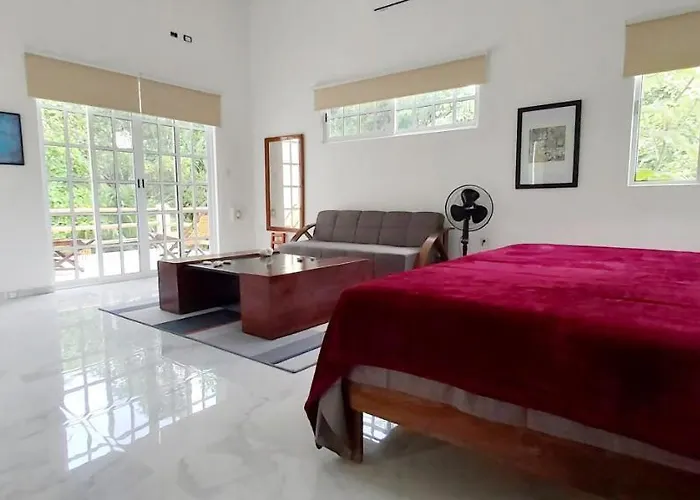 New! Casa Xola Cenote&fauna Loft