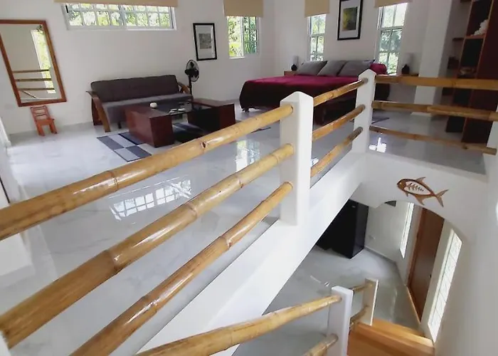 New! Casa Xola Cenote&fauna Loft