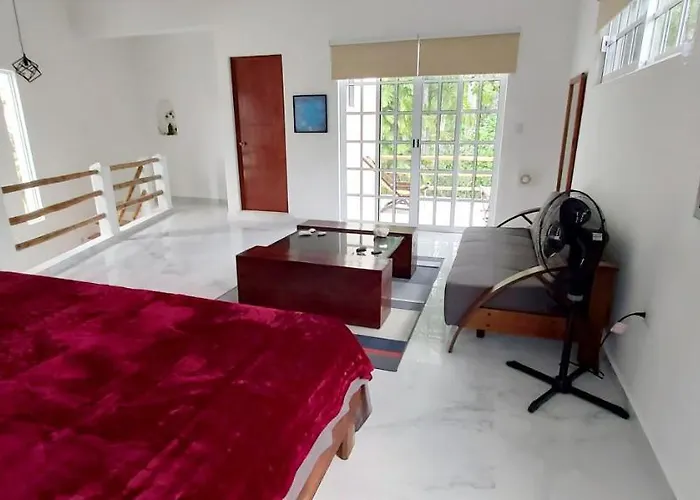 Villa New! Casa Xola Cenote&fauna Loft Cozumel