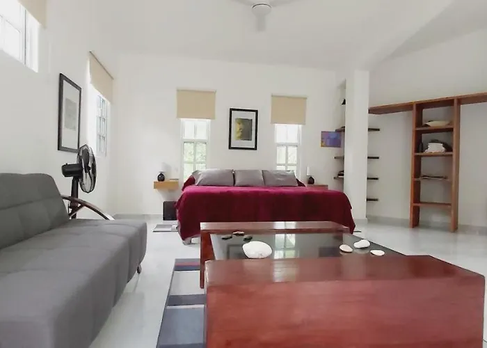 New! Casa Xola Cenote&fauna Loft *