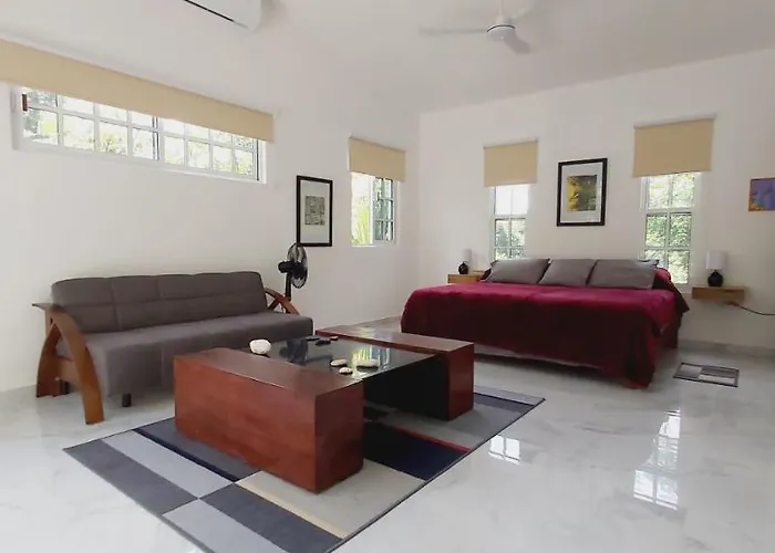Villa New! Casa Xola Cenote&fauna Loft Cozumel